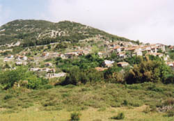 ������ ����� ��� ������