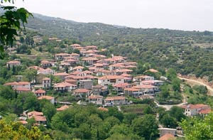 Μυγδαλιά, άποψη του χωριού