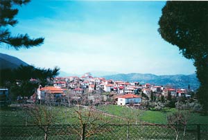 Πουρναριά, άποψη του χωριού